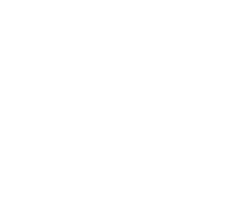 DR Global Services Logo